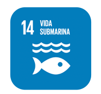 ojetivos 2030 vida submarina
