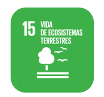 objetivos 2030 vida de ecosistemas terrestres